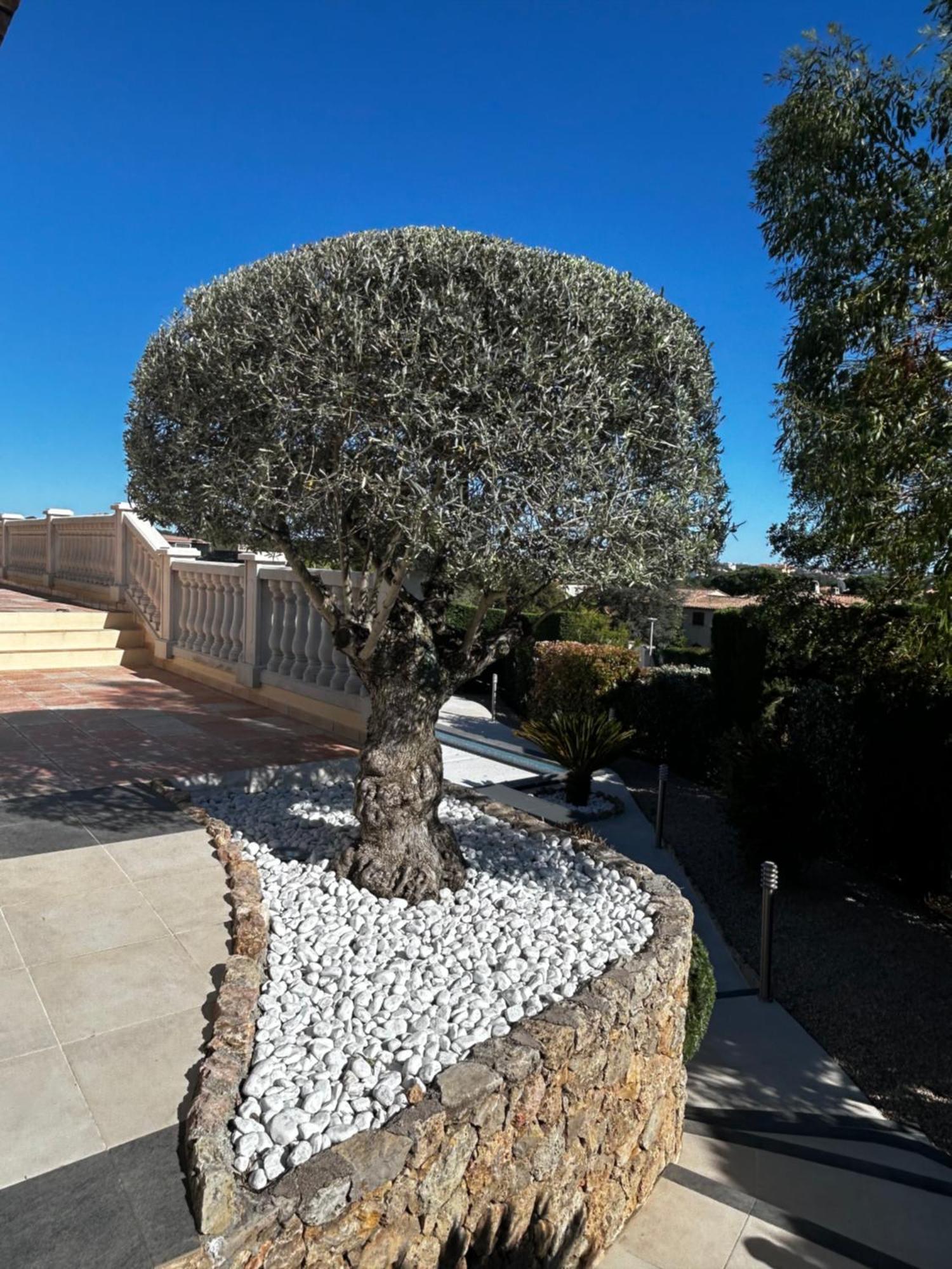 Villa Riposa Fréjus Екстериор снимка